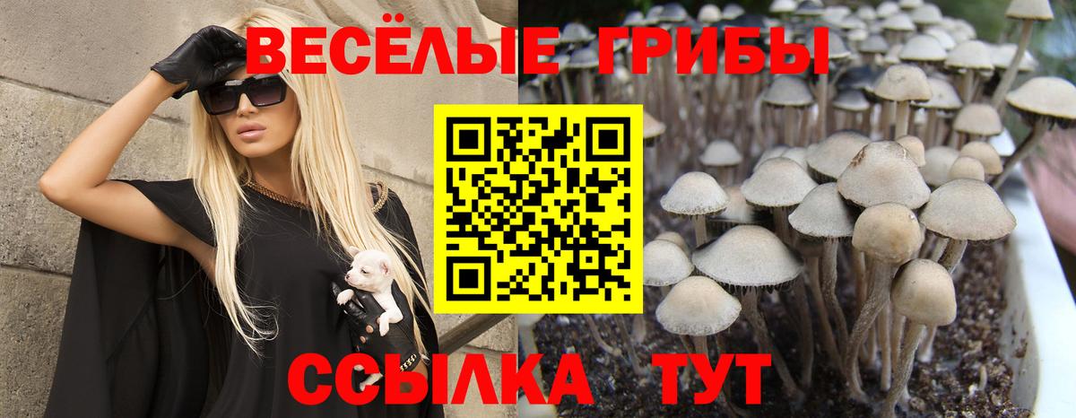 Codein  Мелеуз  КОКАИН  МЕФ   Марихуана  ГАШ  Вход с VPN  LSD-25 